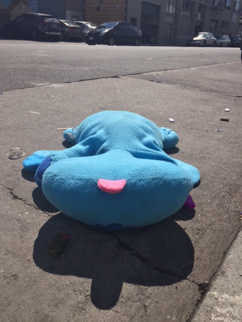 dog1
